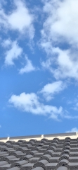 What have I just seen in the sky?
