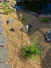 Gravel recommendations