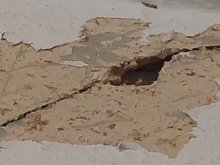 Crack above internal door reaching ceiling, should I be worried?