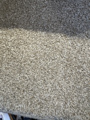 Carpet Advice -  what do I ask for?