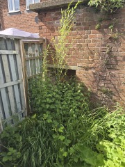 What have you done in the garden today? Part 8