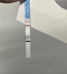 Can this be actual potential  ovulation for first time in 5 years? Positive OPK or pcos playing games