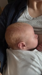 Will baby be a red head or too early to tell?