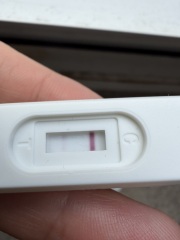 Confused by mixed pregnancy test results