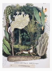 paper collage art