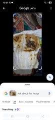 Dark purplish mucus in one-year-old, has anyone experienced this?