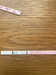 June IVF/FET 👶 🌟 ❤️