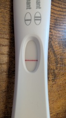 Can anyone see a faint line?? Thanks for ur help