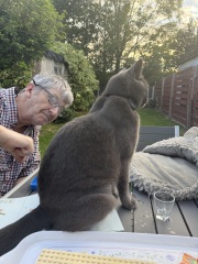 Get A Compass! The Excellent Cats embrace a new rallying cry