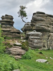 What could I do with 48 hours in Harrogate?