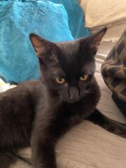 Foster Mum!