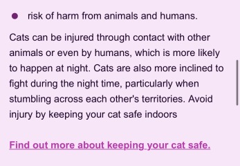 AIBU to feel too anxious about my cat being late home?