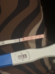 Are these tests positive? Line eyes!
