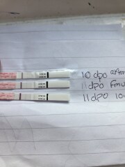 Do these test lines look reassuring for 10 and 11dpo?