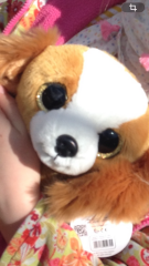 Help me identify this soft toy, decluttering regret!