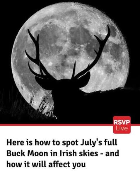 Any Witches Here? Part 21