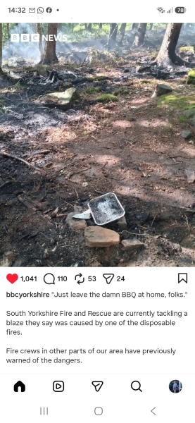AIBU to Hope that disposable barbecues are banned