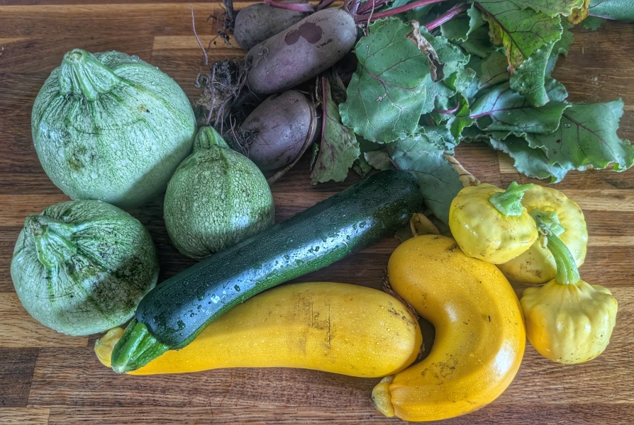 2026 Allotmenteers - have we lost the plot?!