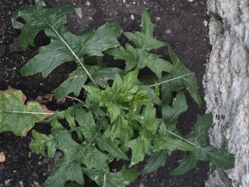 Please can anyone help me identify this?