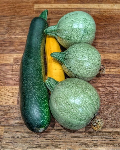 2026 Allotmenteers - have we lost the plot?!