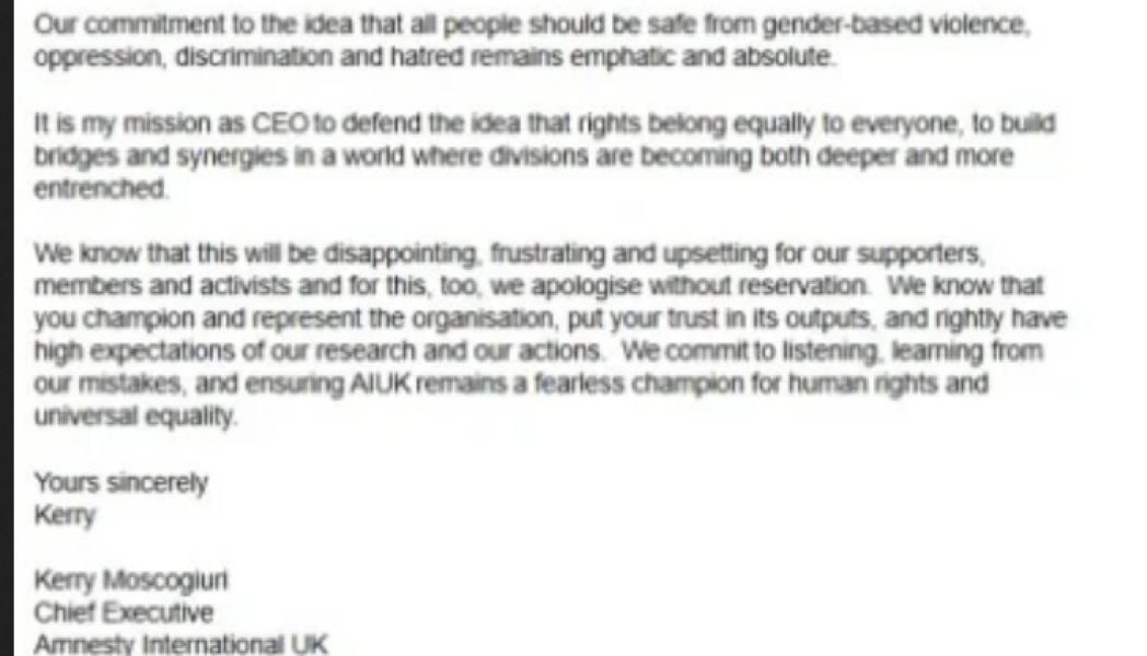 A growing threat: the anti-rights movement in the UK says Amnesty who claim over 50% are Gender Critical groups