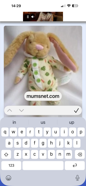 Please help me find my friend's daughter's toy bunny (Floffle 2)