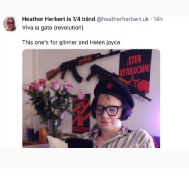 'Heather' Herbert Charged Over Ann Widdecombe Comments