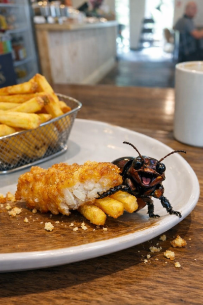 The Bluestocking: home of the ice-cold Mojito foot-bath