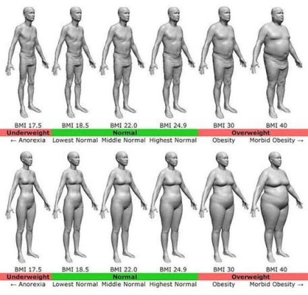 Would you rather have a curvy or skinny figure?