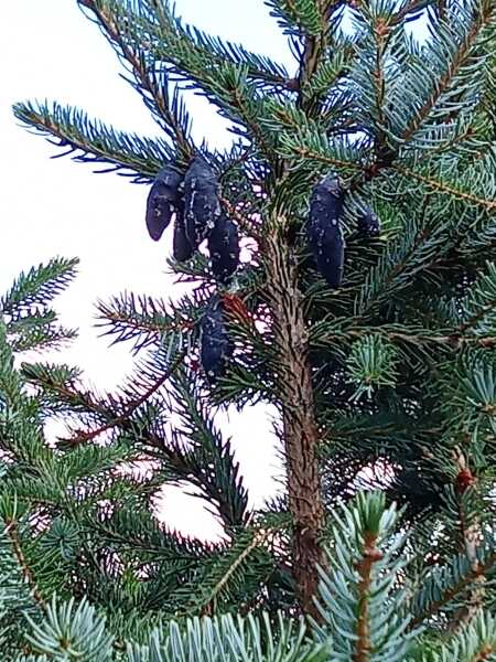 What are these?