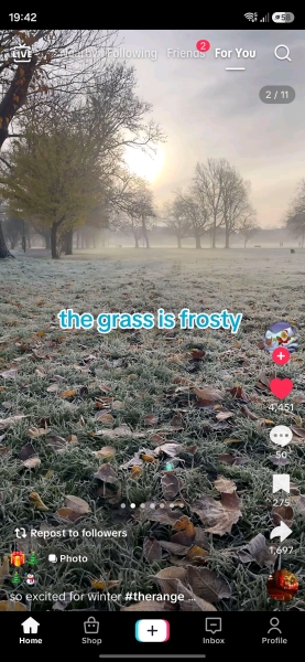 Tô be excited for the cold frosty mornings that come with early winter?