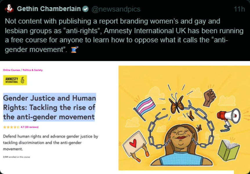 In which Amnesty jumps the shark