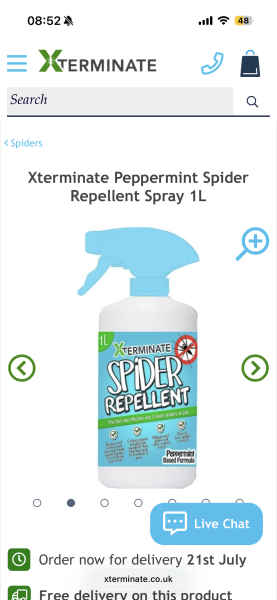 To be scared about the spider season this year