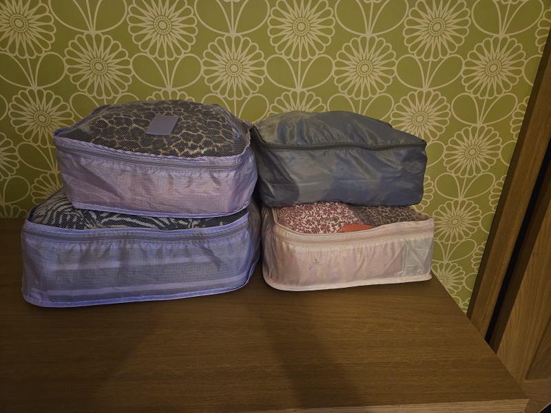 Are packing cubes worth it?