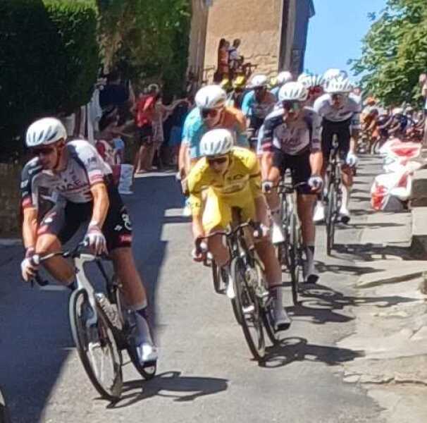 Tour de France 2026 peloton
