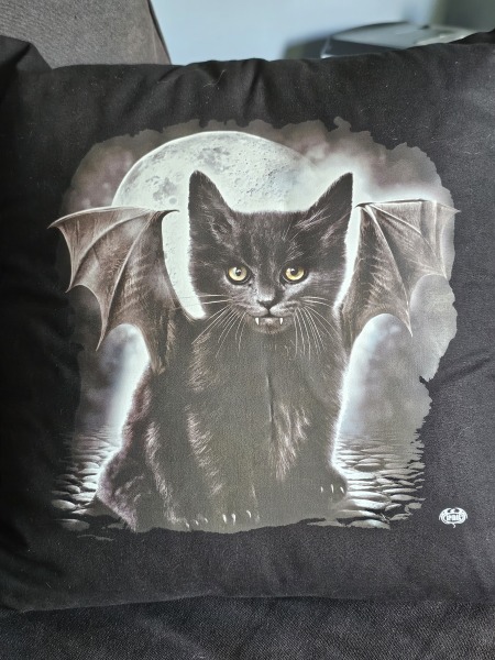Get A Compass! The Excellent Cats embrace a new rallying cry