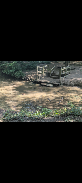 Should I worry after my son fell into stagnant water?