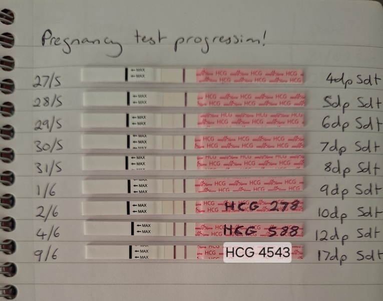Worried about test line progression at 8dp5dt after IVF