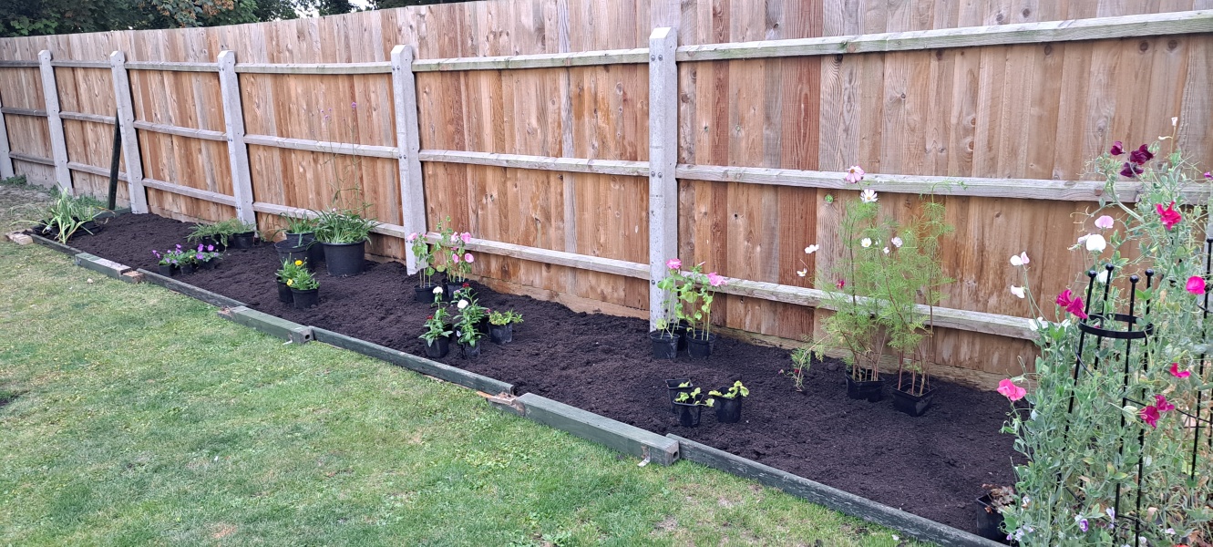 Stopping weeds growing using cardboard