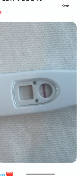 Pregnancy
