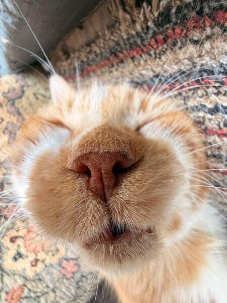 Silly photo time