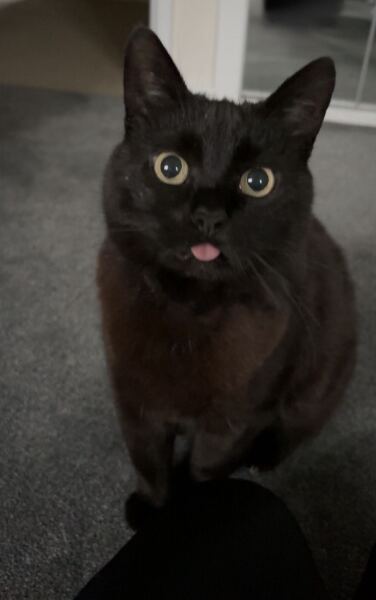 Silly photo time