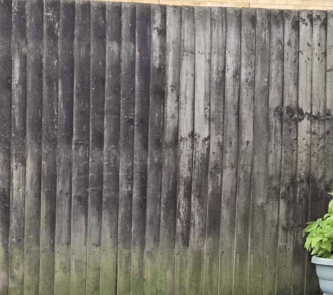 Fence and painting