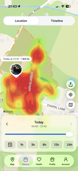AIBU to feel too anxious about my cat being late home?