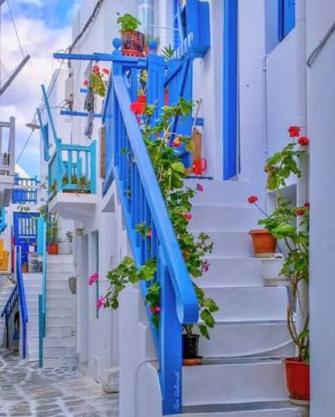 AIBU to ask if I can report my neighbour's bright blue house?