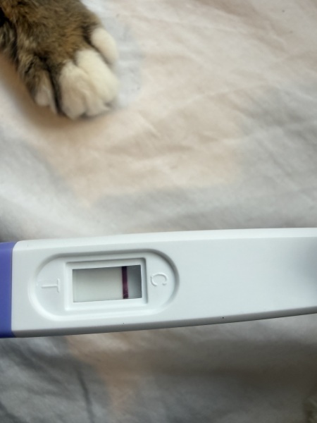 9DPO and wondering if anyone can see a line