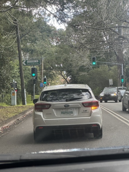 People who put their car make on their number plate!