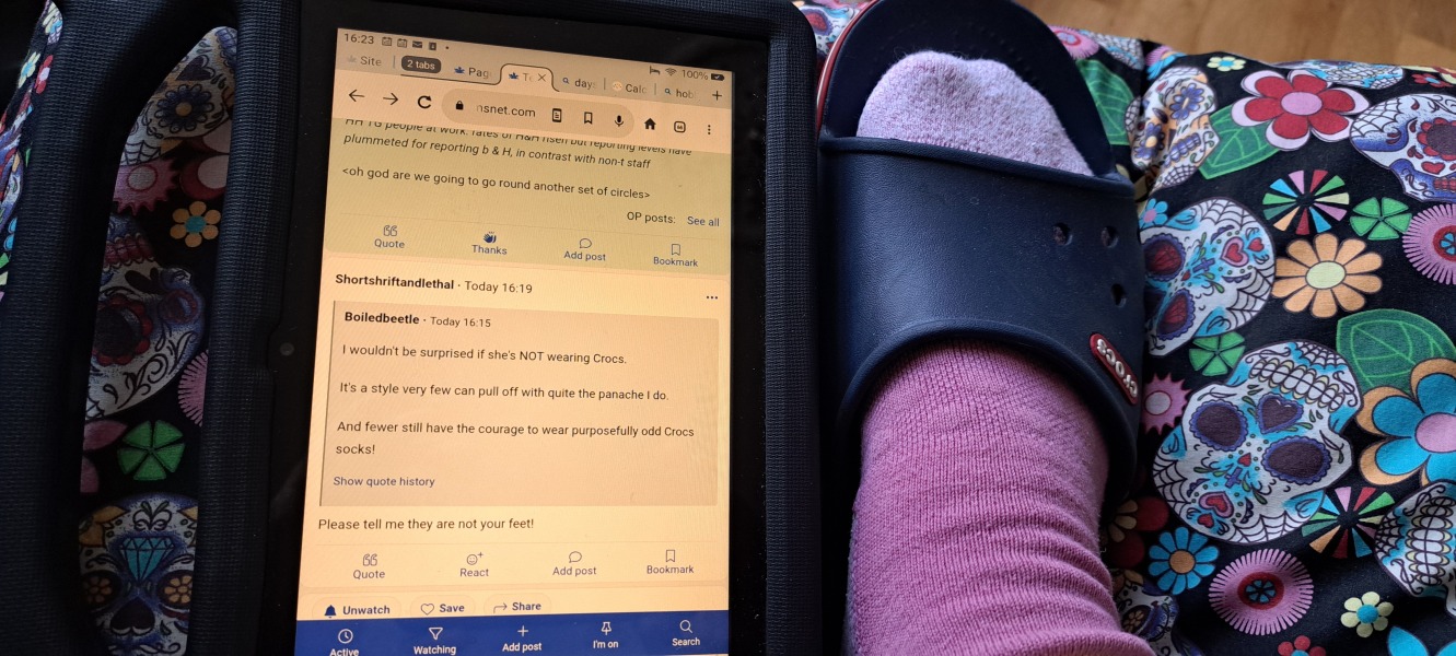 Tempest v Rural Payments Agency Tribunal Thread 7