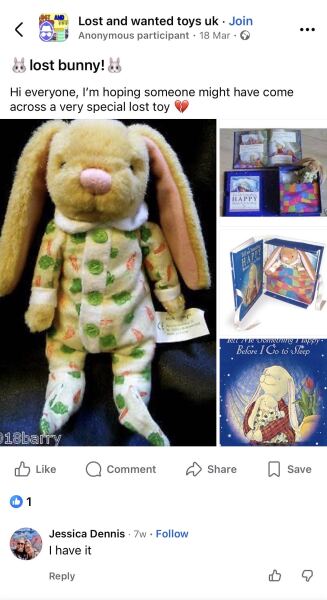 Looking for this rabbit