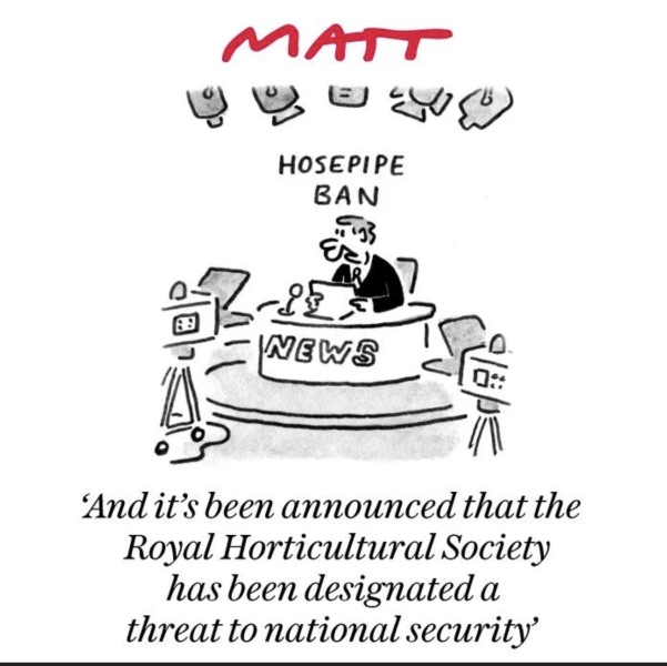 In which Amnesty jumps the shark